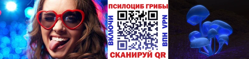 Псилоцибиновые грибы Cubensis  Новое Девяткино 