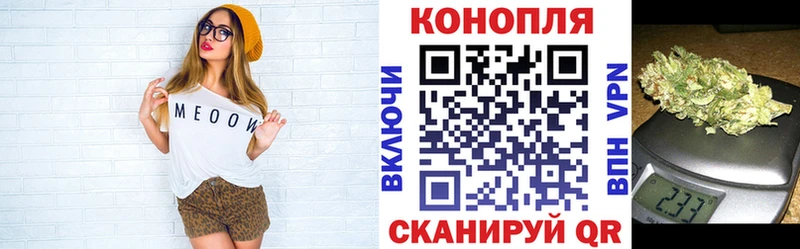 магазин продажи наркотиков  Новое Девяткино  Бошки Шишки конопля 